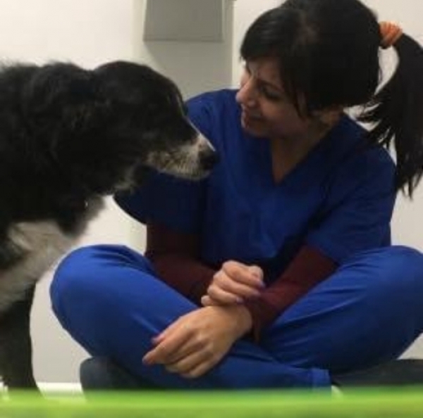 ANIMALHELP E IL CORONAVIRUS: NASCE LA PAGINA FACEBOOK LEGAMBIENTE TERRACINA