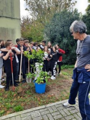 MESSA A DIMORA DI UNA PIANTA DI LIMONE ALL’ITS BIANCHINI PER PARTECIPARE ALLA “GIORNATA NAZIONALE DEGLI ALBERI”