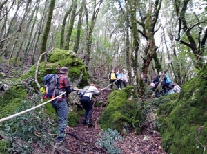 RETE SENTIERISTICA DELLE “COLLINE DI SANTO STEFANO” E TURISMO SOSTENIBILE