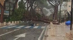 REINVIO DELLA PROPOSTA DI MOZIONE SULLA DICHIARAZIONE DI EMERGENZA CLIMATICA INVIATA A TUTTI I COMPONENTI DELA GIUNTA E DEL CONSIGLIO COMUNALE DI TERRACINA